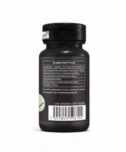 Lipovon Premium Back